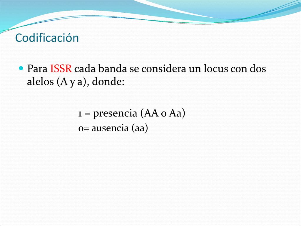 Codificación Para ISSR cada banda se considera un locus con dos alelos (A y a), donde: 1 = presencia (AA o Aa)