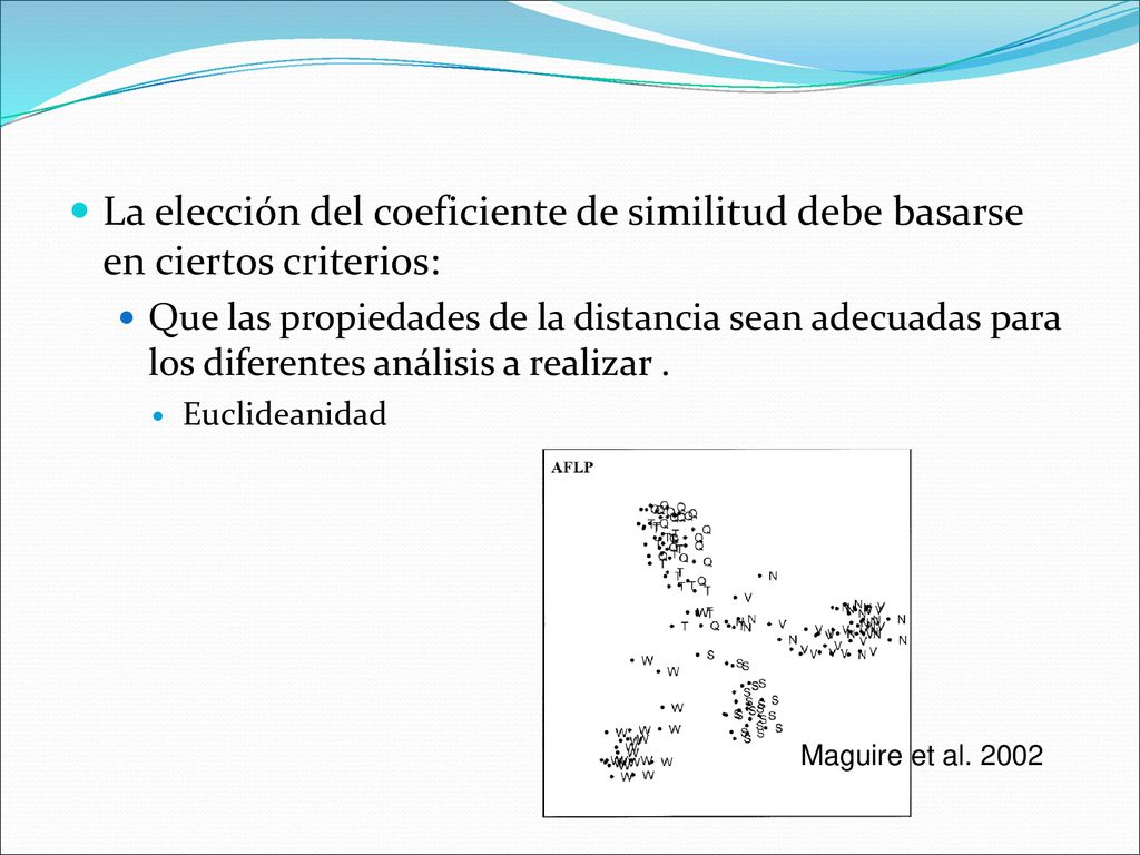 La elección del coeficiente de similitud debe basarse en ciertos criterios: