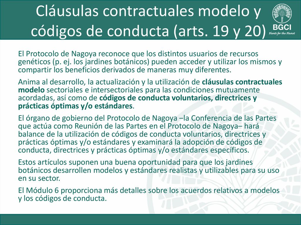 Cláusulas contractuales modelo y códigos de conducta (arts. 19 y 20)