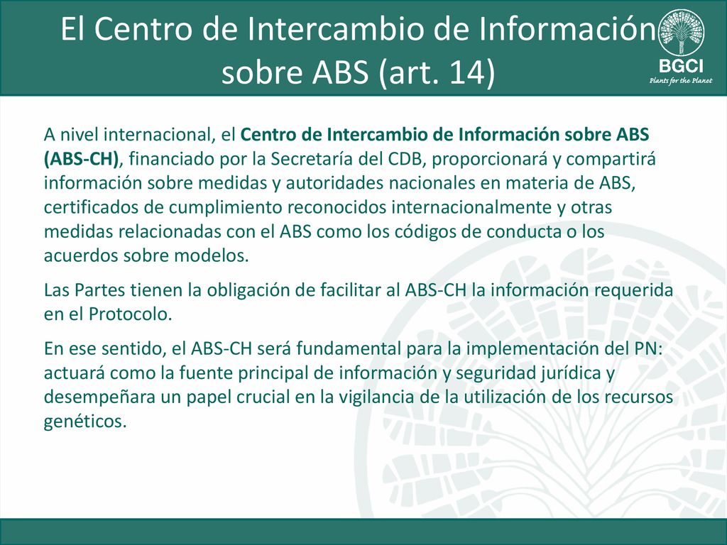 El Centro de Intercambio de Información sobre ABS (art. 14)