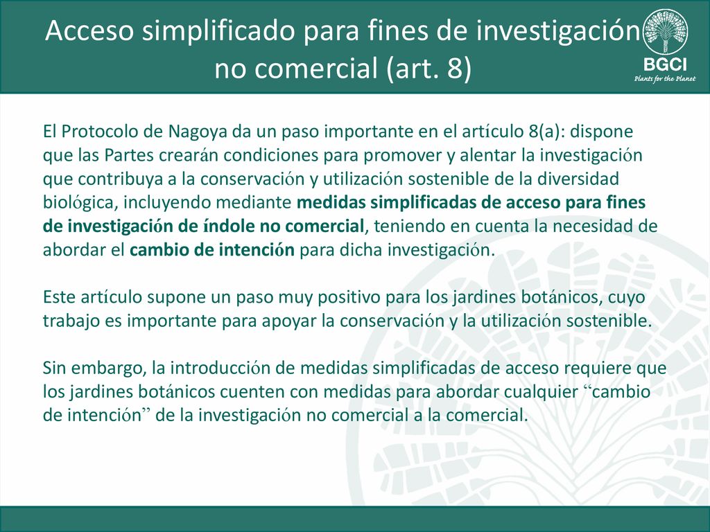 Acceso simplificado para fines de investigación no comercial (art. 8)