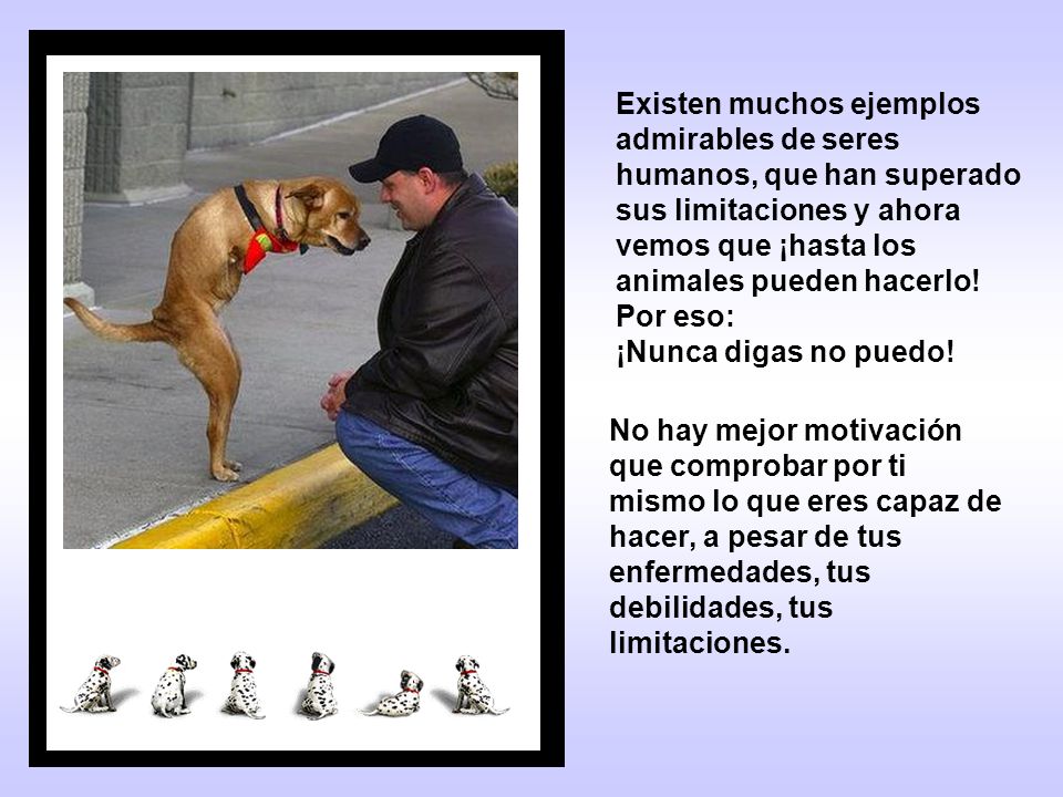 Existen muchos ejemplos admirables de seres humanos, que han superado sus limitaciones y ahora vemos que ¡hasta los animales pueden hacerlo! Por eso: