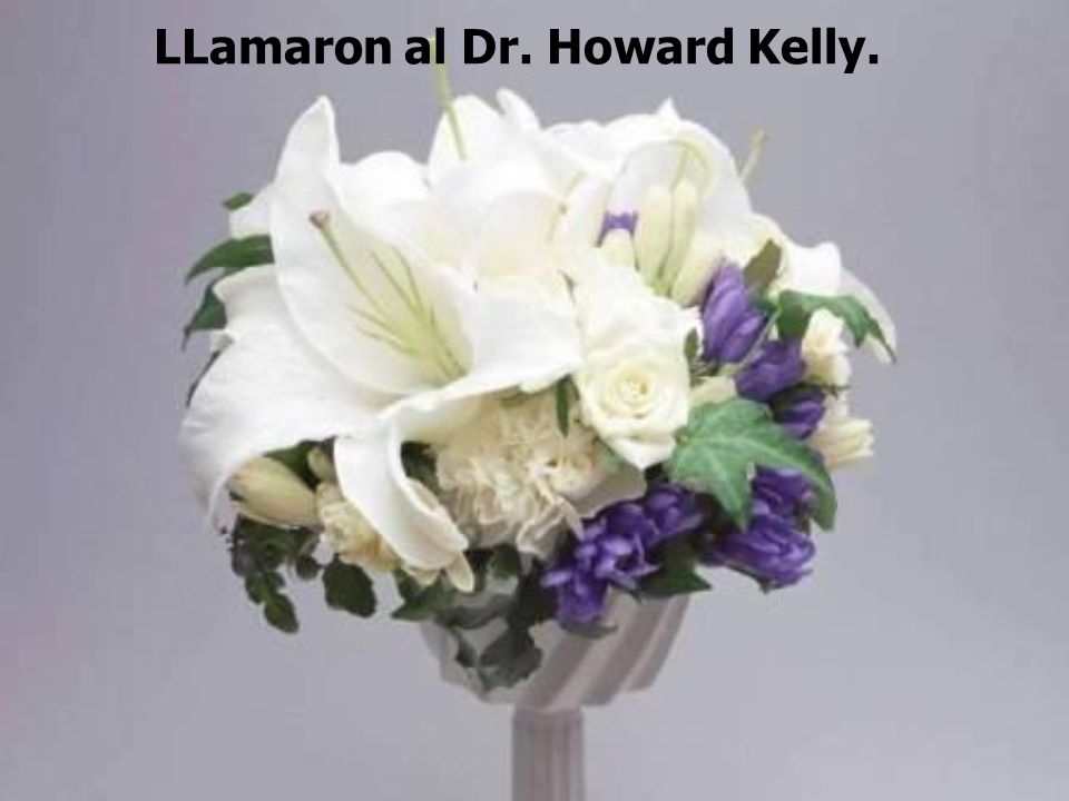 LLamaron al Dr. Howard Kelly.