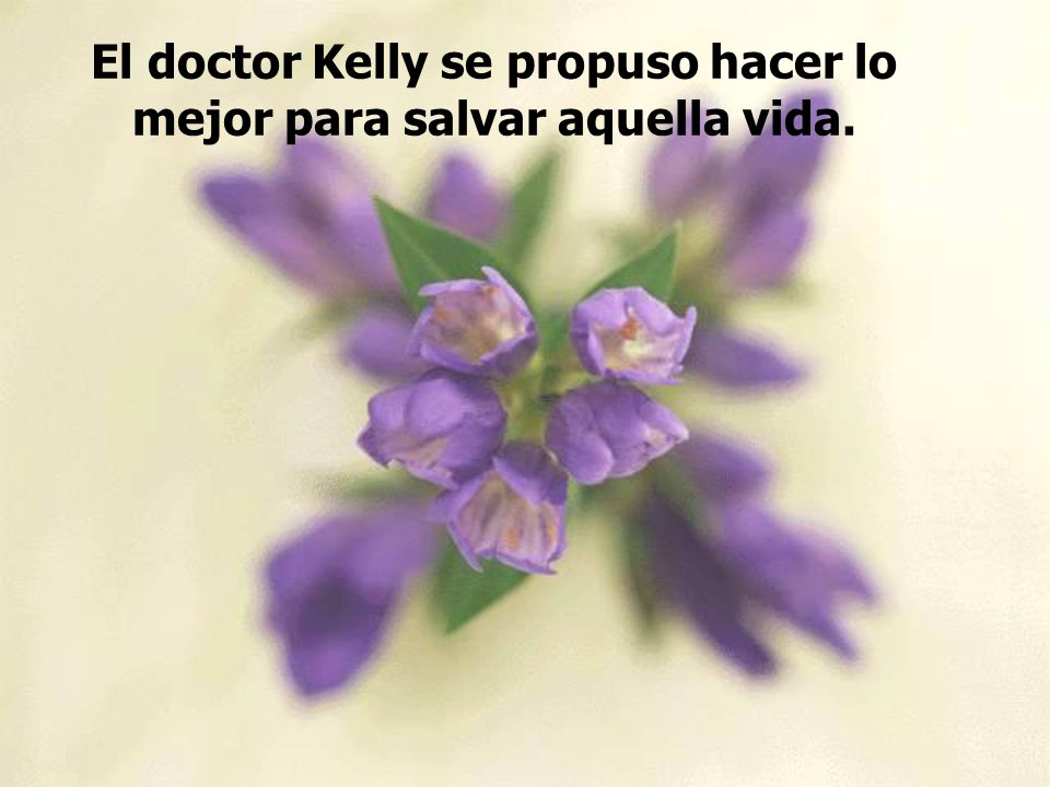 El doctor Kelly se propuso hacer lo mejor para salvar aquella vida.