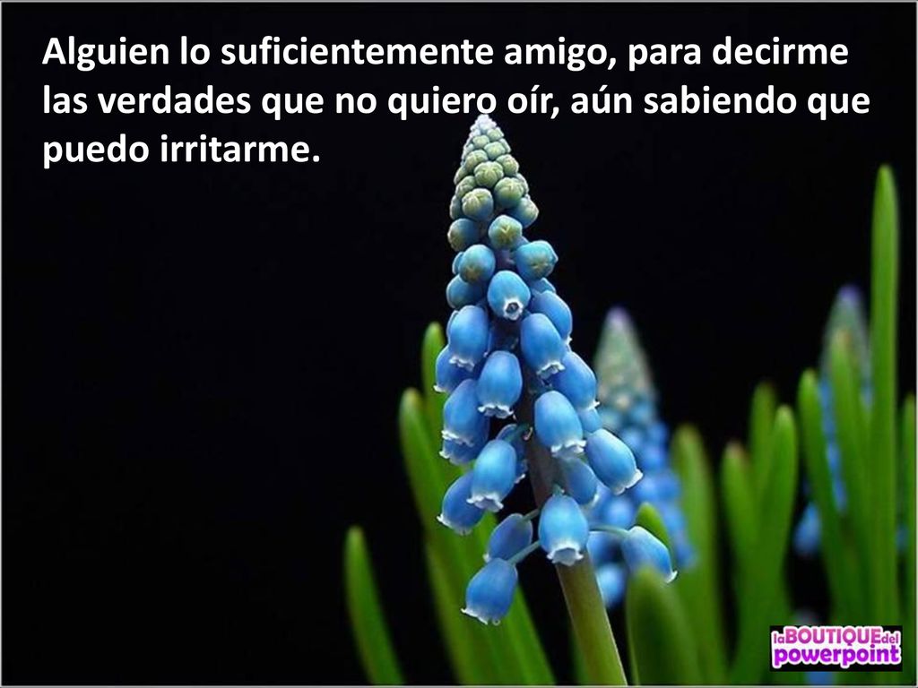 Alguien lo suficientemente amigo, para decirme las verdades que no quiero oír, aún sabiendo que puedo irritarme.