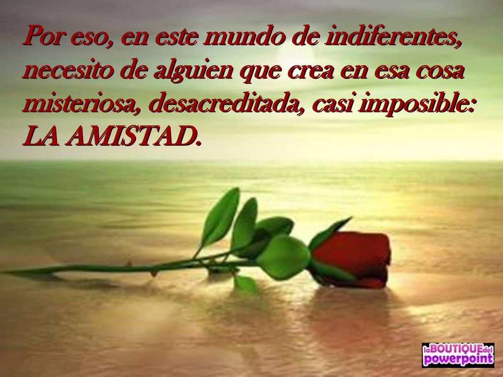 Por eso, en este mundo de indiferentes, necesito de alguien que crea en esa cosa misteriosa, desacreditada, casi imposible: LA AMISTAD.