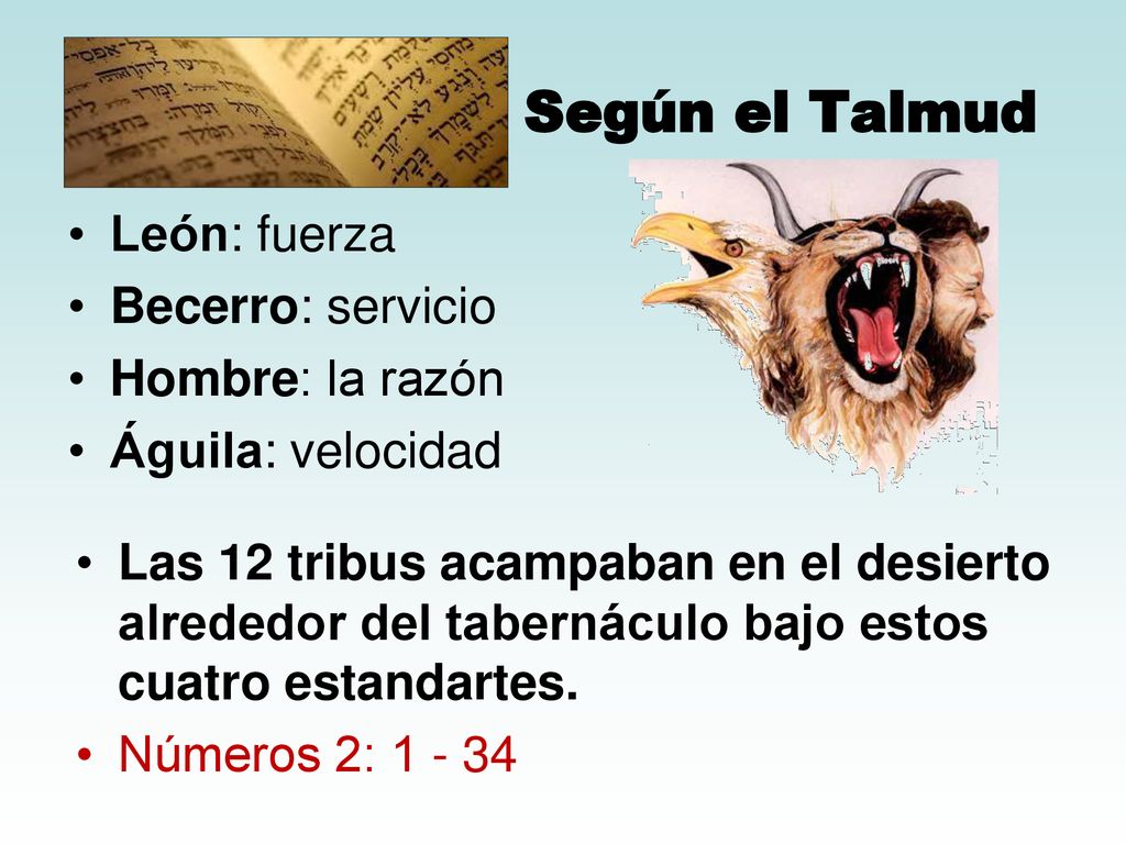 Según el Talmud León: fuerza Becerro: servicio Hombre: la razón