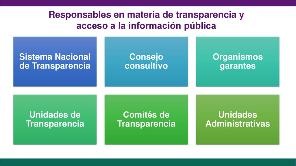 Responsables en materia de transparencia y acceso a la información pública