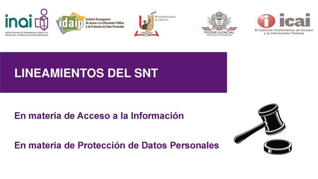 LINEAMIENTOS DEL SNT En materia de Acceso a la Información