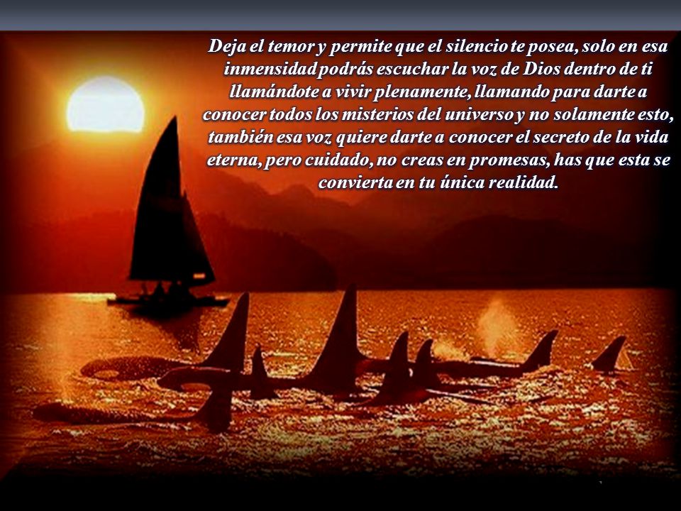 Deja el temor y permite que el silencio te posea, solo en esa inmensidad podrás escuchar la voz de Dios dentro de ti llamándote a vivir plenamente, llamando para darte a conocer todos los misterios del universo y no solamente esto, también esa voz quiere darte a conocer el secreto de la vida eterna, pero cuidado, no creas en promesas, has que esta se convierta en tu única realidad.