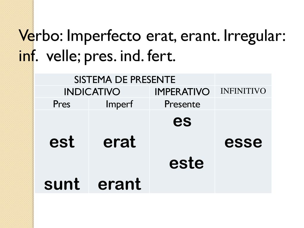 Verbo: Imperfecto erat, erant. Irregular: inf. velle; pres. ind. fert.
