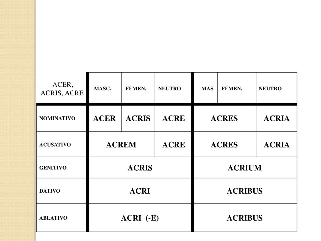 ACER ACRIS ACRE ACRES ACRIA ACREM ACRIUM ACRI ACRIBUS ACRI (-E)