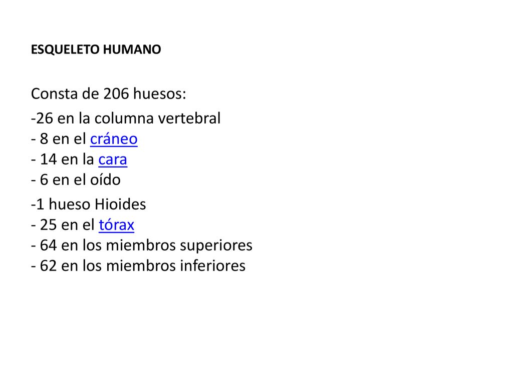 ESQUELETO HUMANO Consta de 206 huesos: 26 en la columna vertebral - 8 en el cráneo - 14 en la cara - 6 en el oído.