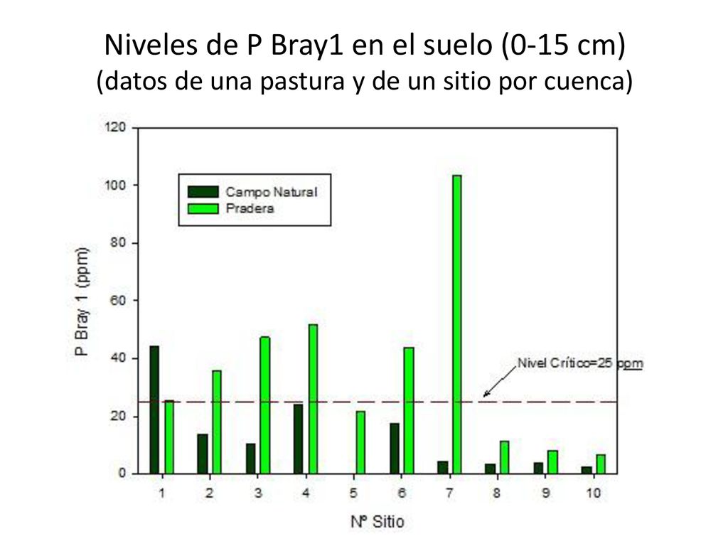Niveles de P Bray1 en el suelo (0-15 cm) (datos de una pastura y de un sitio por cuenca)