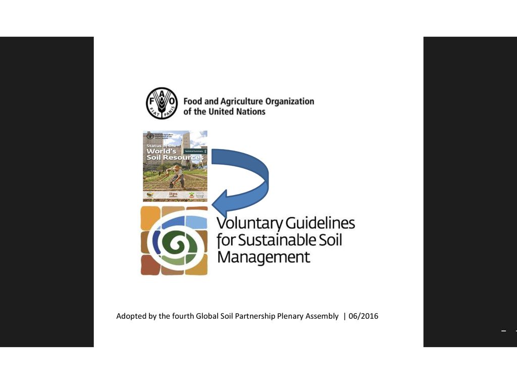 Adopted by the fourth Global Soil Partnership Plenary Assembly | 06/2016