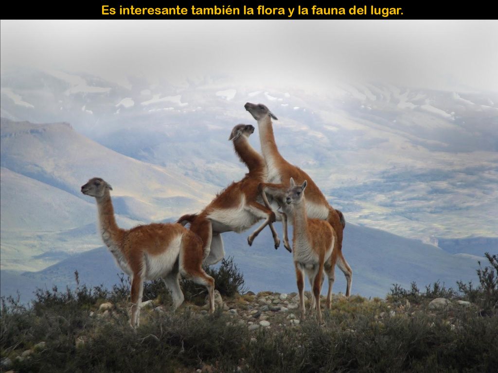 Es interesante también la flora y la fauna del lugar.