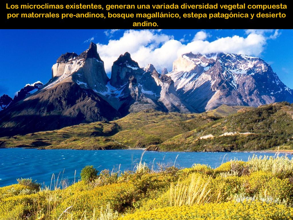 Los microclimas existentes, generan una variada diversidad vegetal compuesta por matorrales pre-andinos, bosque magallánico, estepa patagónica y desierto andino.