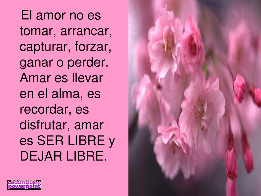 El amor no es tomar, arrancar, capturar, forzar, ganar o perder