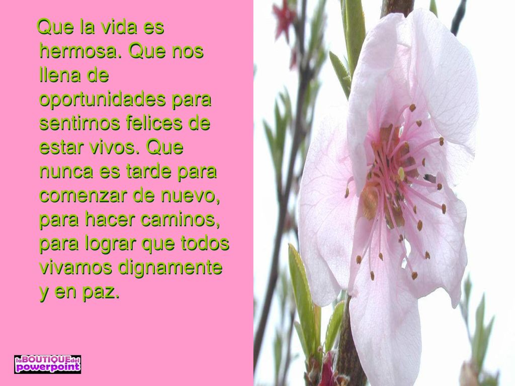 Que la vida es hermosa. Que nos llena de oportunidades para sentirnos felices de estar vivos.