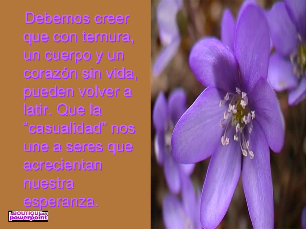 Debemos creer que con ternura, un cuerpo y un corazón sin vida, pueden volver a latir.