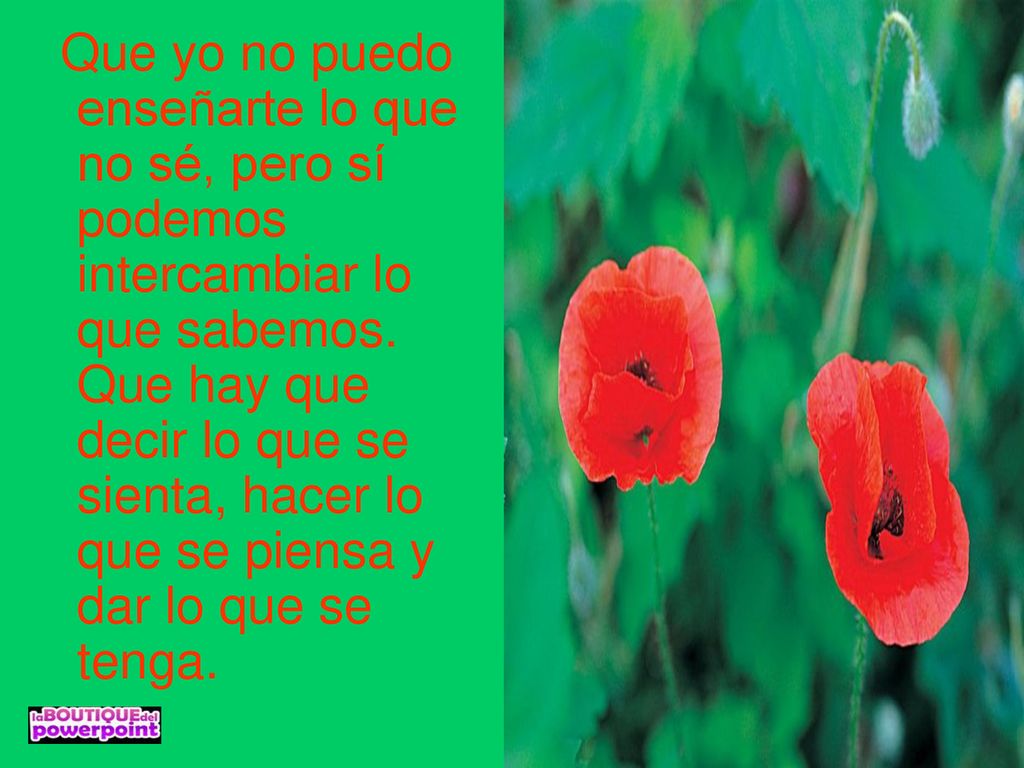 Que yo no puedo enseñarte lo que no sé, pero sí podemos intercambiar lo que sabemos.