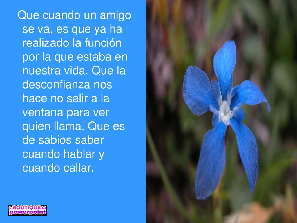 Que cuando un amigo se va, es que ya ha realizado la función por la que estaba en nuestra vida.
