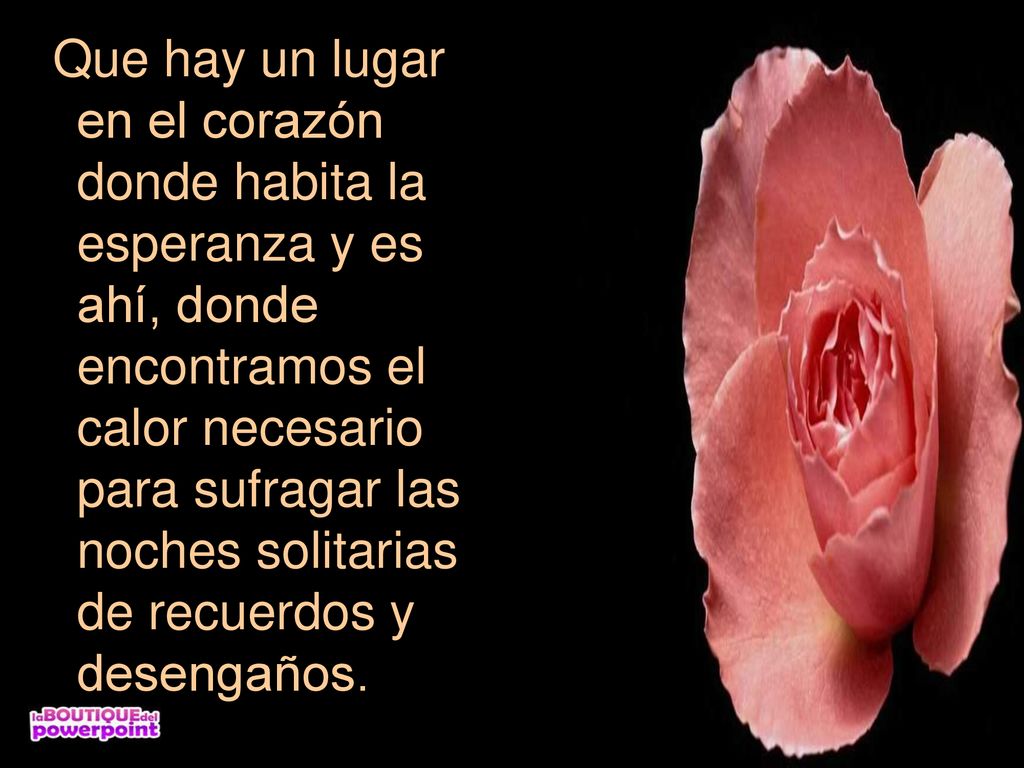 Que hay un lugar en el corazón donde habita la esperanza y es ahí, donde encontramos el calor necesario para sufragar las noches solitarias de recuerdos y desengaños.