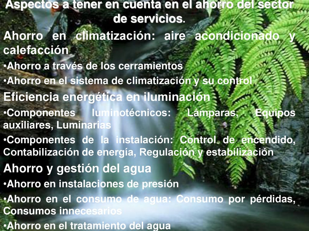 Aspectos a tener en cuenta en el ahorro del sector de servicios.