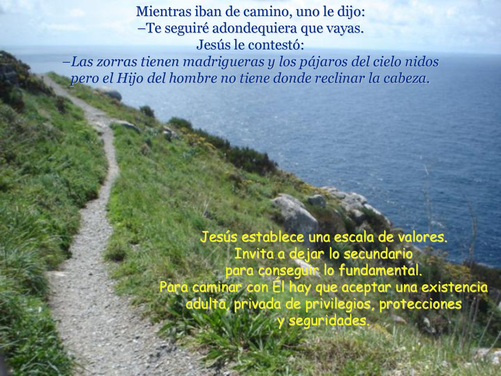 Mientras iban de camino, uno le dijo: –Te seguiré adondequiera que vayas. Jesús le contestó: –Las zorras tienen madrigueras y los pájaros del cielo nidos pero el Hijo del hombre no tiene donde reclinar la cabeza.
