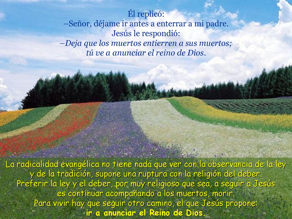 Él replicó: –Señor, déjame ir antes a enterrar a mi padre