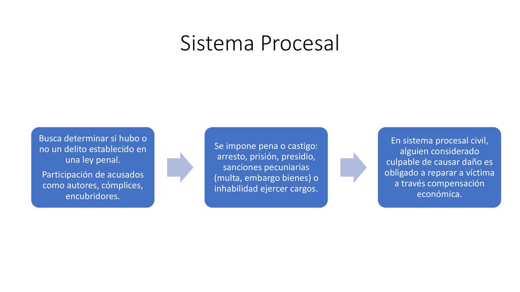 Sistema Procesal Busca determinar si hubo o no un delito establecido en una ley penal.