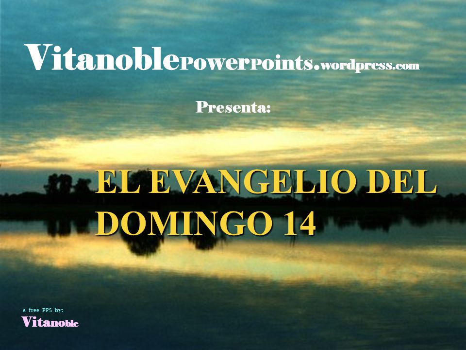 EL EVANGELIO DEL DOMINGO 14