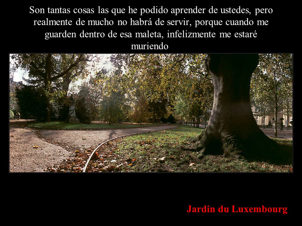 Son tantas cosas las que he podido aprender de ustedes, pero realmente de mucho no habrá de servir, porque cuando me guarden dentro de esa maleta, infelizmente me estaré muriendo.