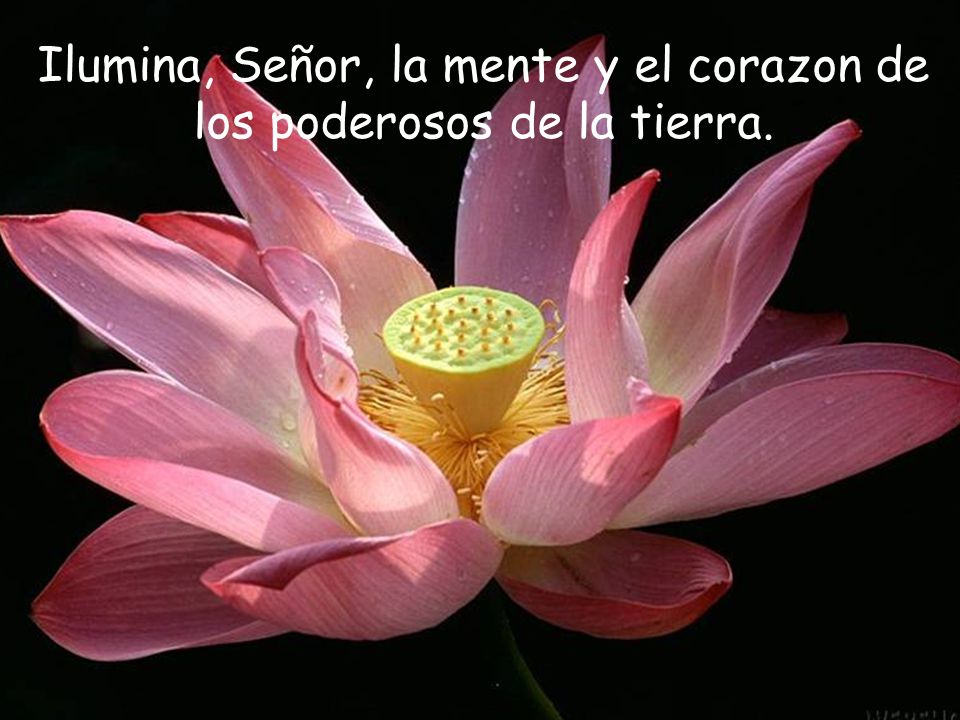 Ilumina, Señor, la mente y el corazon de los poderosos de la tierra.