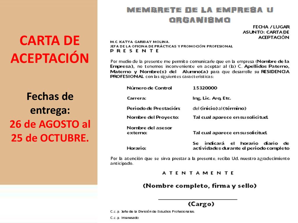 CARTA DE ACEPTACIÓN Fechas de entrega: 26 de AGOSTO al 25 de OCTUBRE.