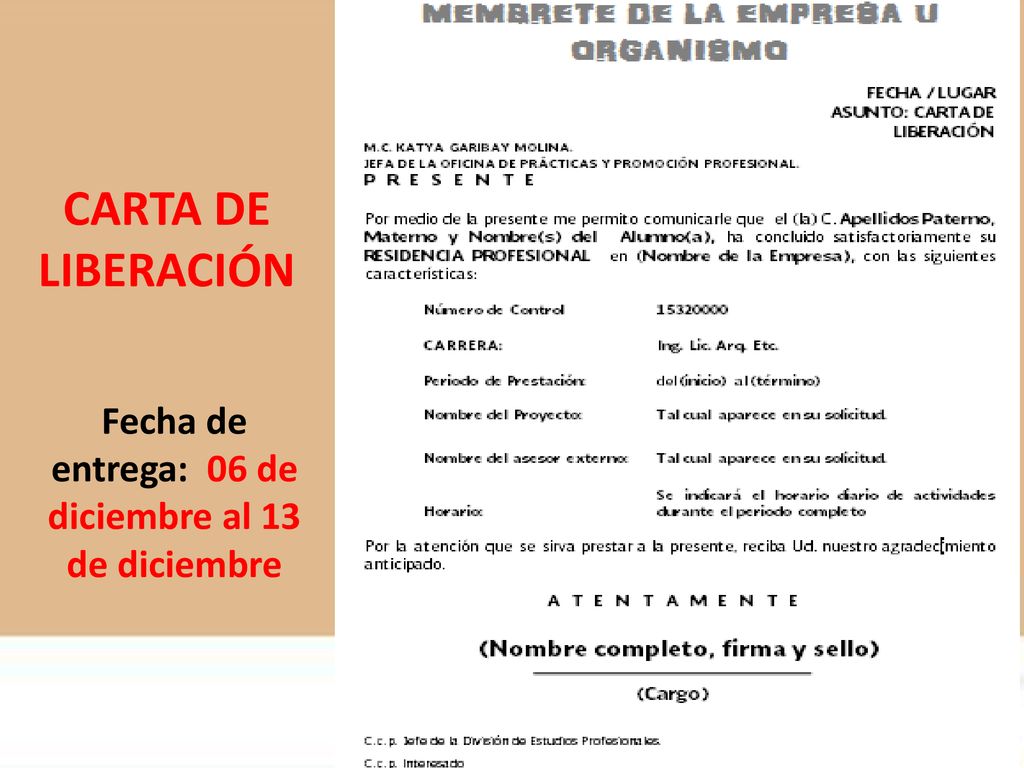 Fecha de entrega: 06 de diciembre al 13 de diciembre