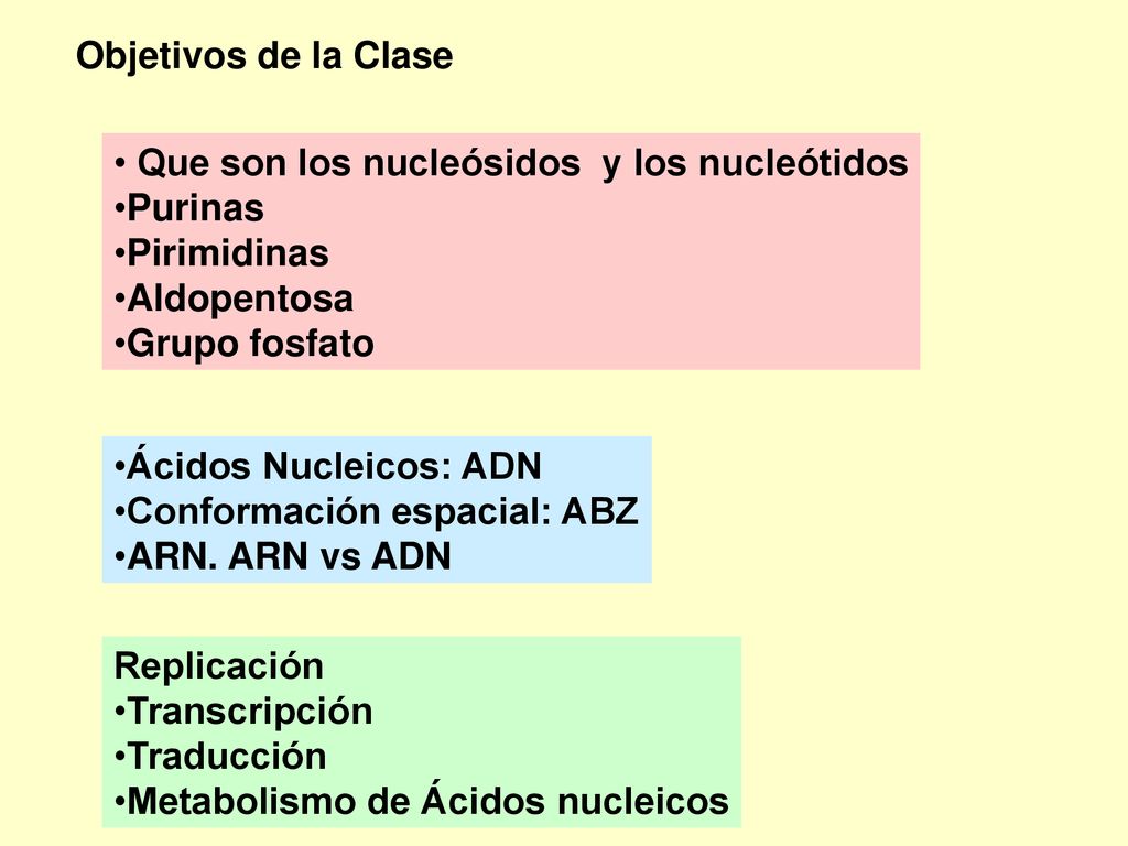 Objetivos de la Clase Que son los nucleósidos y los nucleótidos. Purinas. Pirimidinas. Aldopentosa.