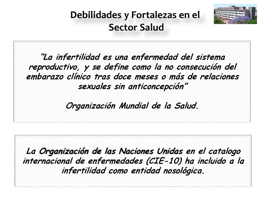 Debilidades y Fortalezas en el Organización Mundial de la Salud.