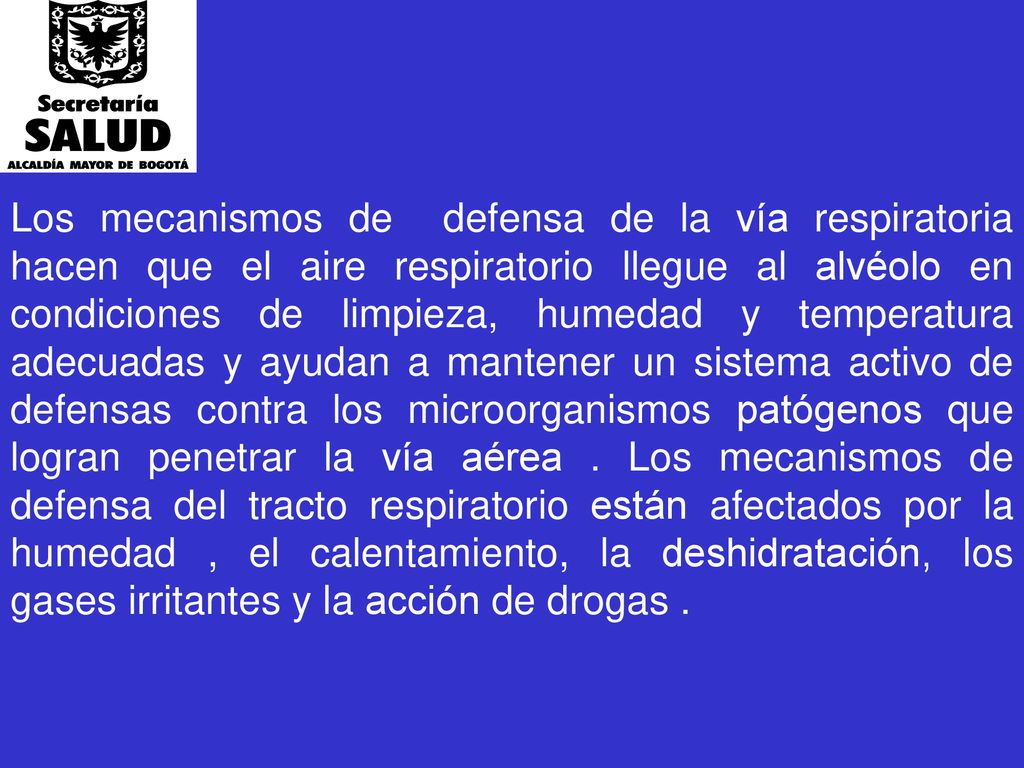 Los mecanismos de defensa de la vía respiratoria hacen que el aire respiratorio llegue al alvéolo en condiciones de limpieza, humedad y temperatura adecuadas y ayudan a mantener un sistema activo de defensas contra los microorganismos patógenos que logran penetrar la vía aérea .