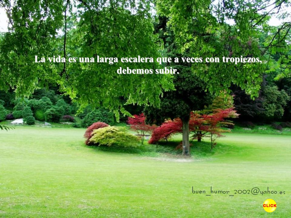 La vida es una larga escalera que a veces con tropiezos, debemos subir.