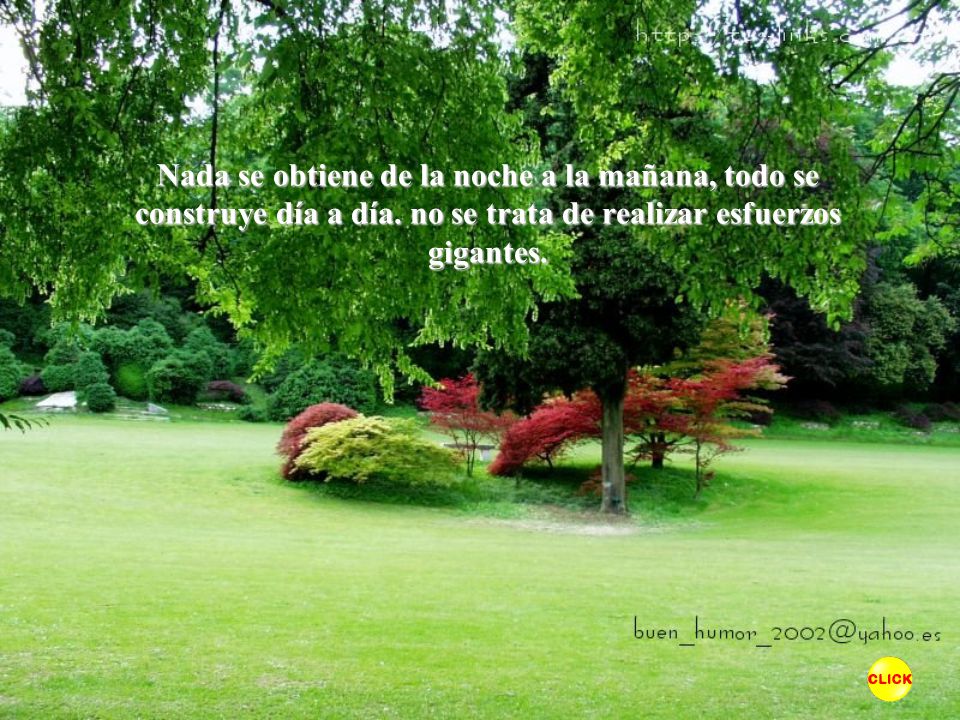 Nada se obtiene de la noche a la mañana, todo se construye día a día