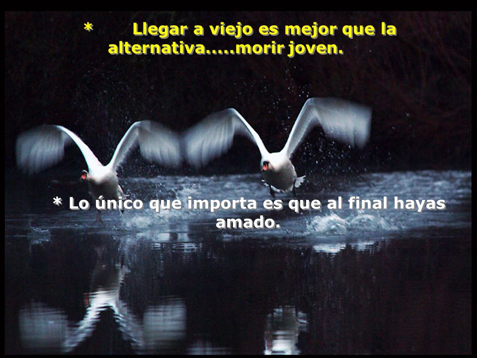 * Llegar a viejo es mejor que la alternativa.....morir joven.
