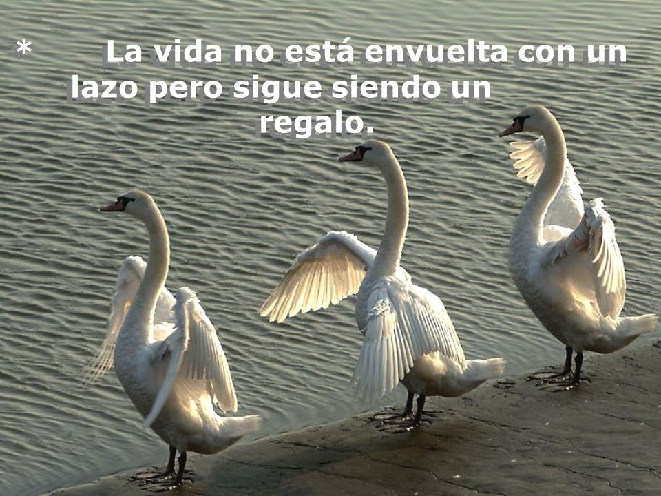 * La vida no está envuelta con un lazo pero sigue siendo un regalo.