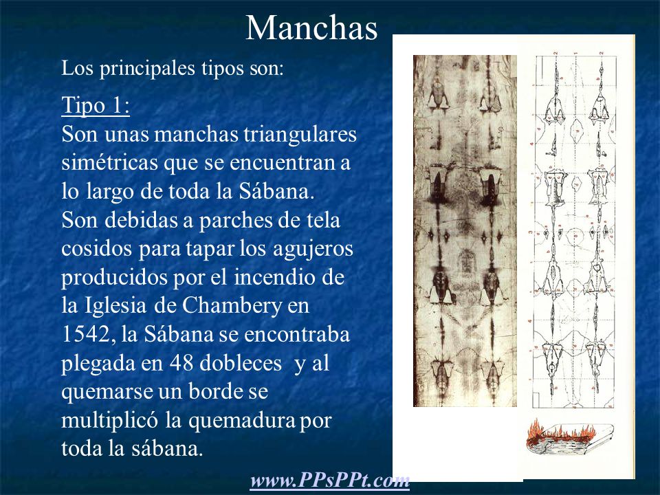 Manchas Los principales tipos son: Tipo 1: