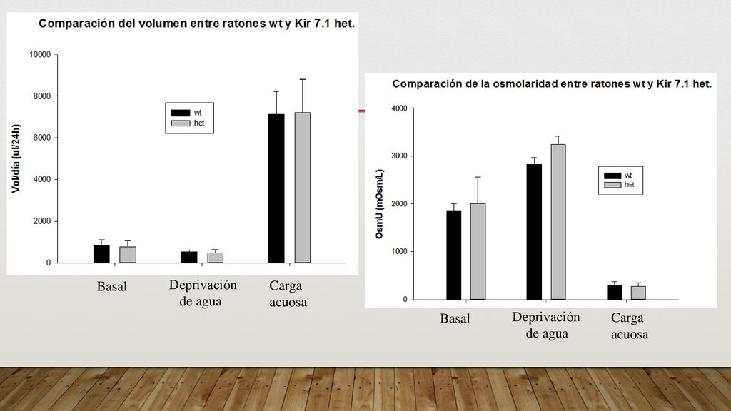 Basal Deprivación de agua Carga acuosa Basal Deprivación de agua Carga acuosa