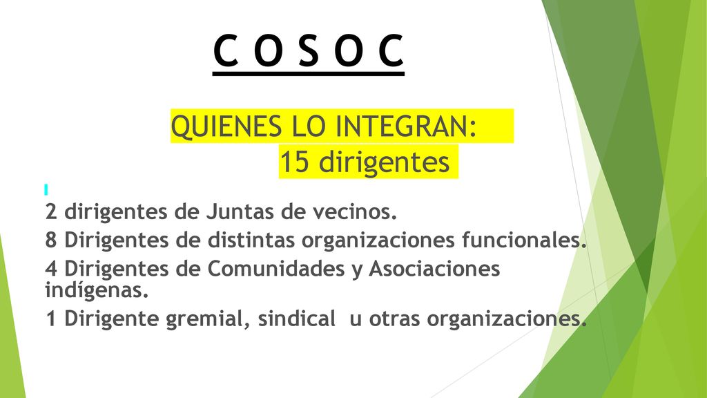 C O S O C QUIENES LO INTEGRAN: 15 dirigentes