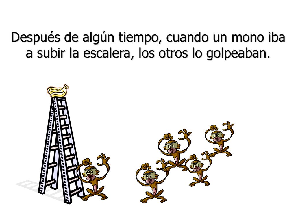 Después de algún tiempo, cuando un mono iba a subir la escalera, los otros lo golpeaban.