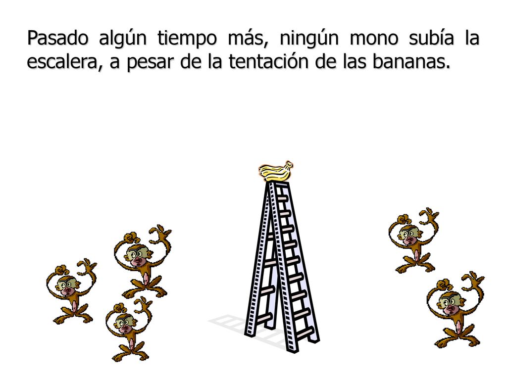Pasado algún tiempo más, ningún mono subía la escalera, a pesar de la tentación de las bananas.