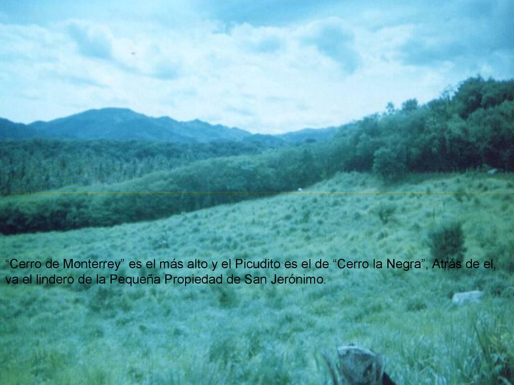 Cerro de Monterrey es el más alto y el Picudito es el de Cerro la Negra , Atrás de el, va el lindero de la Pequeña Propiedad de San Jerónimo.