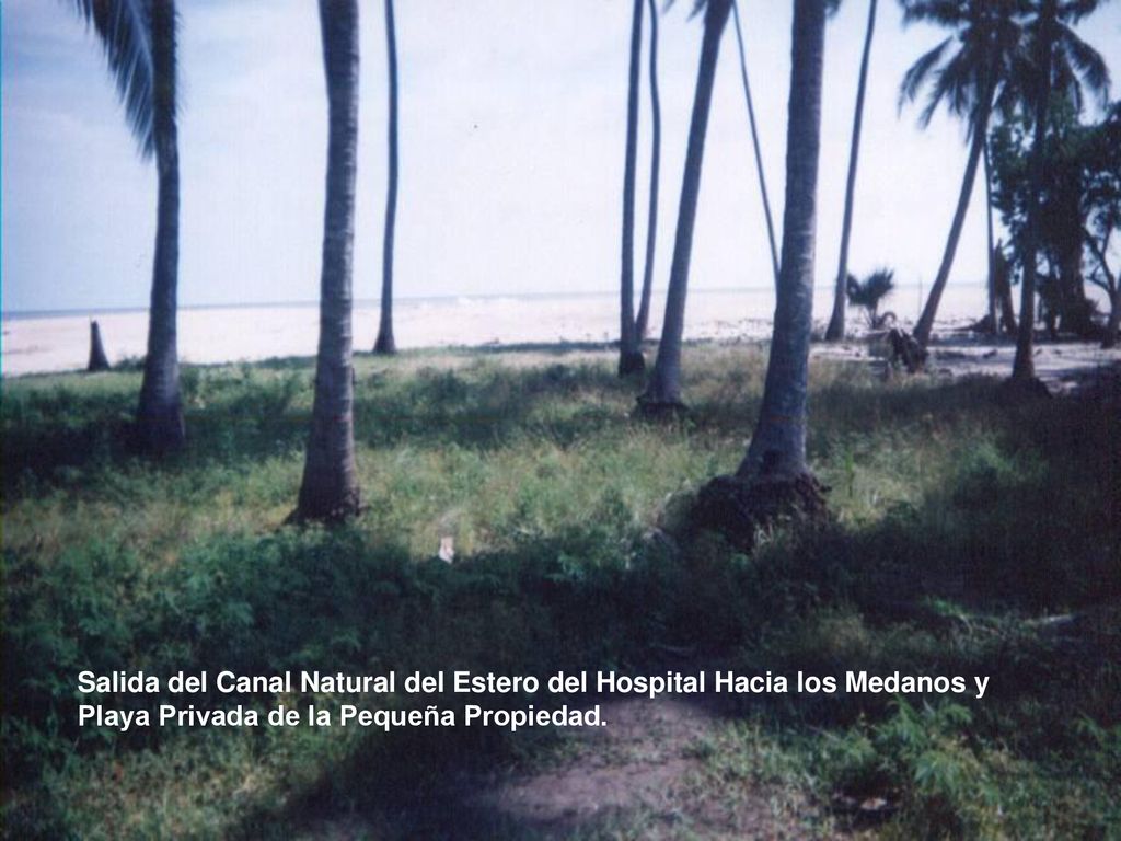Salida del Canal Natural del Estero del Hospital Hacia los Medanos y Playa Privada de la Pequeña Propiedad.